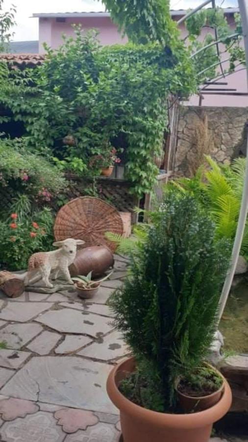 Tamar Guest House Gori Exterior foto